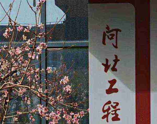 河北工程大学贴吧 2019
