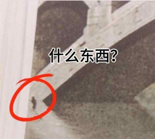 语文书上最诡异的图片大全