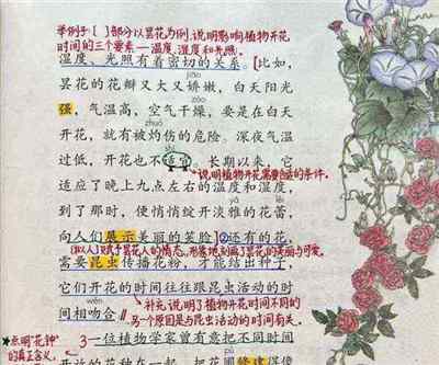 部编版语文花钟课文