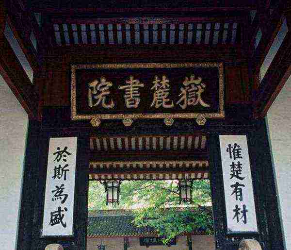 老子学院是正规大学吗