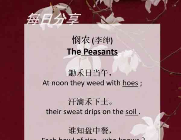 在农村的英文怎么写的