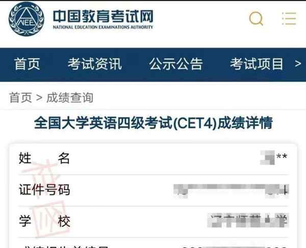 英语cet6级什么水平