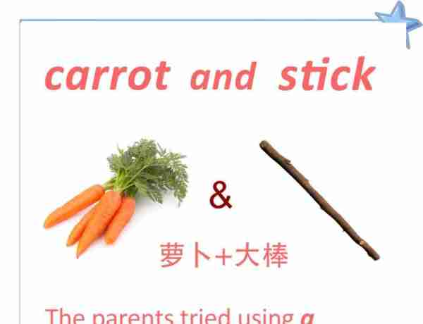 白萝卜的英文是什么