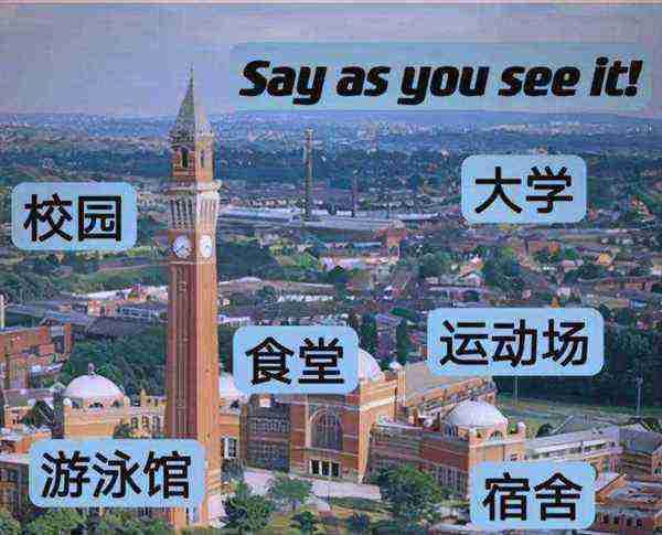 校园英语单词造句