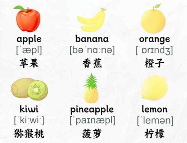桔子英语怎么读orange