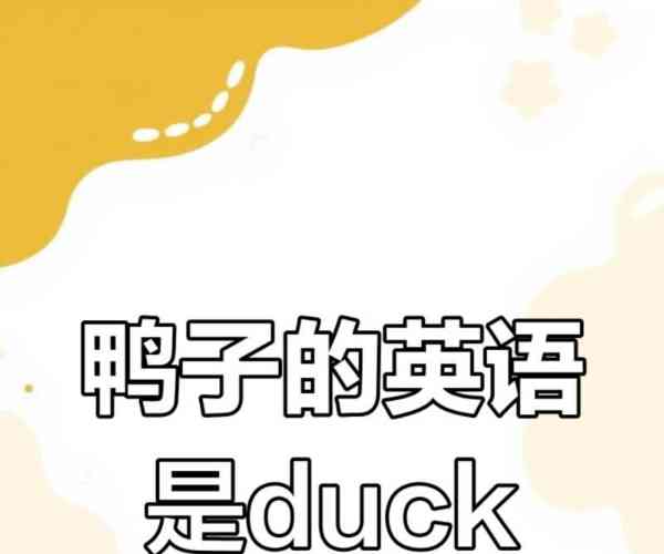 鸭子的英语怎么读的