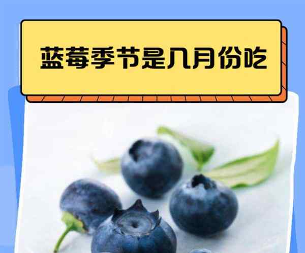 蓝莓英文怎么读bluecherry的简单介绍