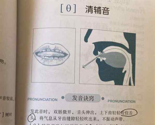shift期刊官网入口