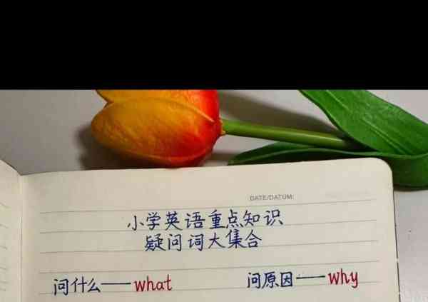 到处英语怎么读everywhere
