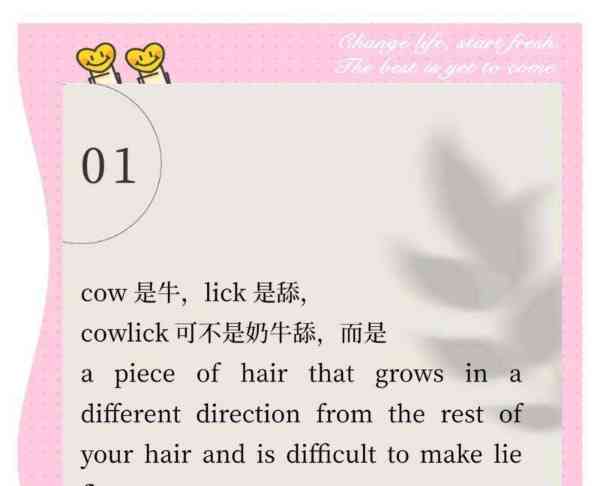 带来的英语怎么说怎么读音