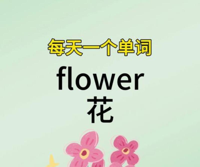 不能摘花的英语翻译