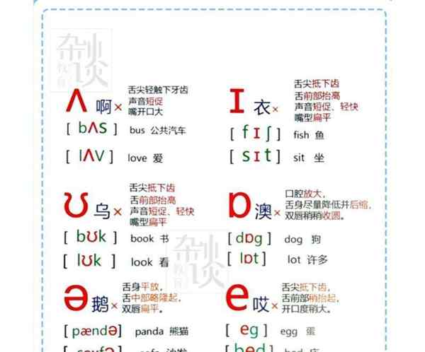 dub怎么读英语