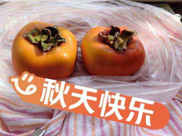 柿子的英文怎么读音发音的