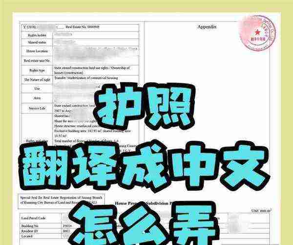  pletement 中文