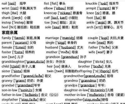 国家安全部英文