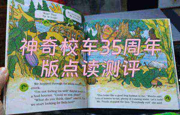 35用英语怎么读 单词
