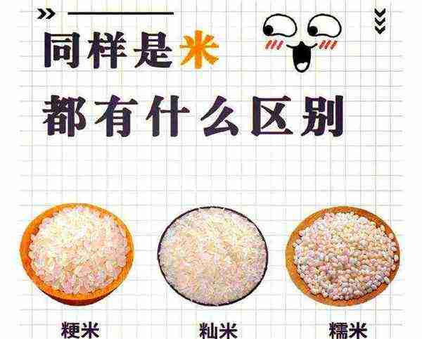 米饭的英语怎么读