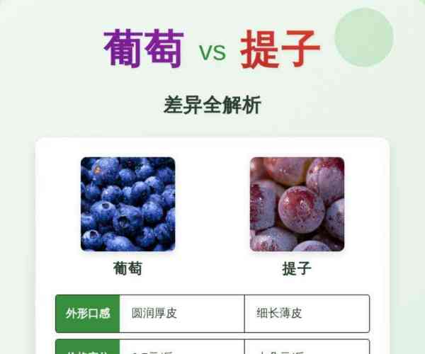 提子和葡萄的英语分别是什么的简单介绍