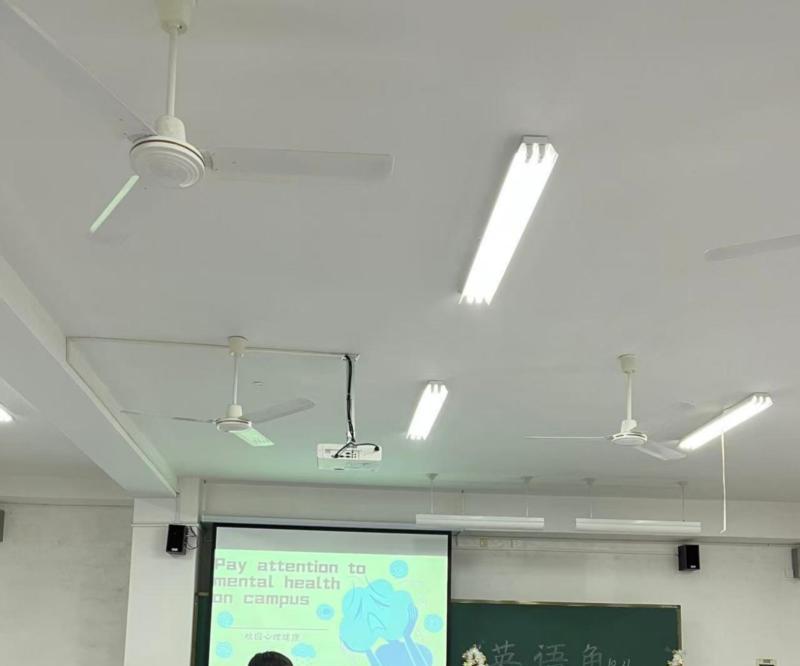 组织活动英语怎么说