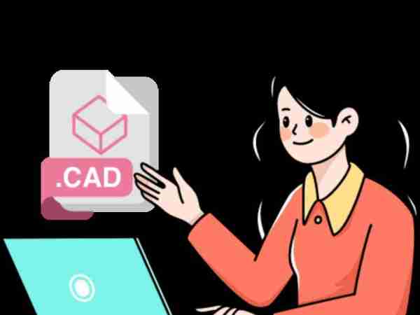 cad支付是什么意思啊