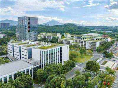 深圳市信息职业技术学院陈丽梅