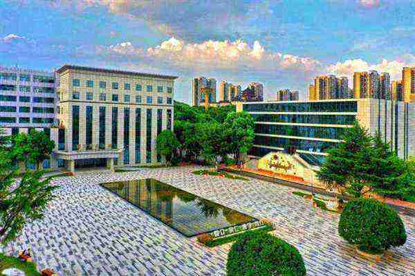 专科升本科的学校有哪些大学