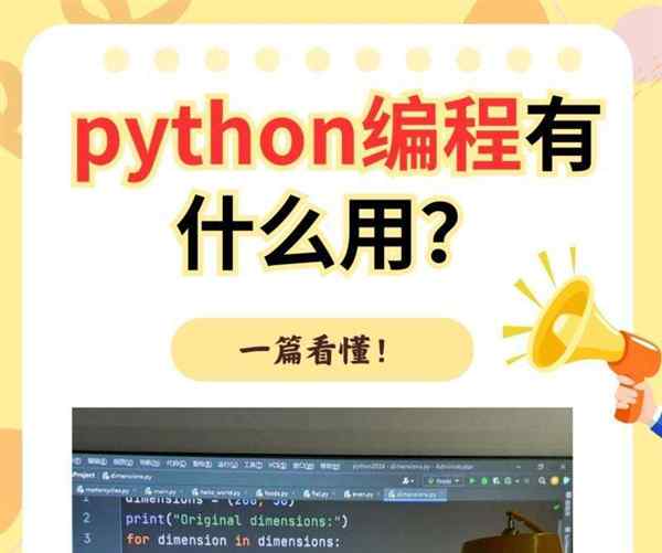 可以python编程的app