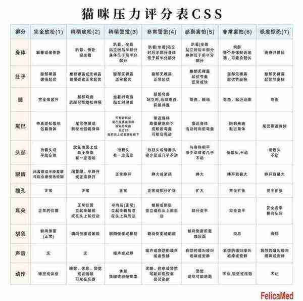 catti日语一二三级水平