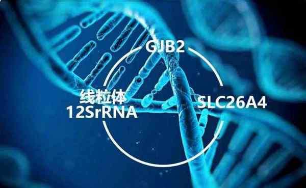 遗传英文单词怎么写