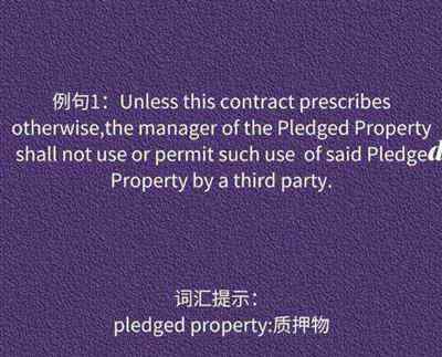 实施法律英文短语怎么写的