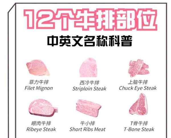 牛肉英语怎么说怎么读