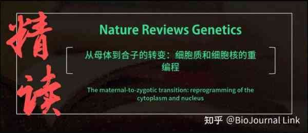 细胞核英文复数