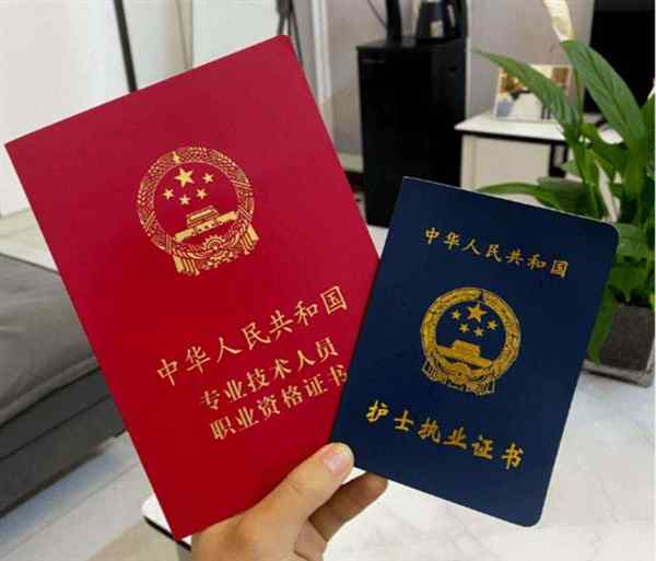 医师资格证电子版在哪里查询