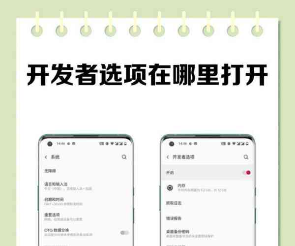 iphone开发者模式不见了