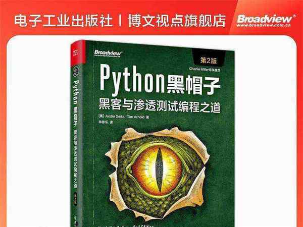 python黑帽子黑客与渗透测