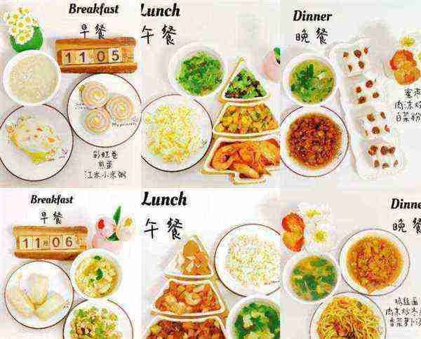 幼儿园伙食 菜谱