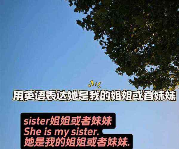姐姐的英语怎么读brother