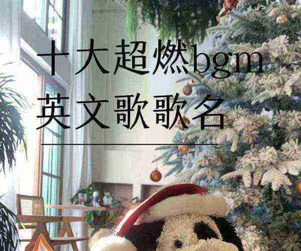 音乐会的英语怎么读