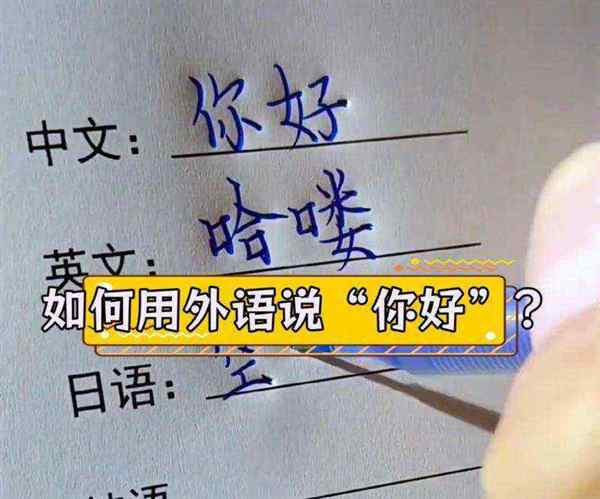 你好 用英语怎么翻译