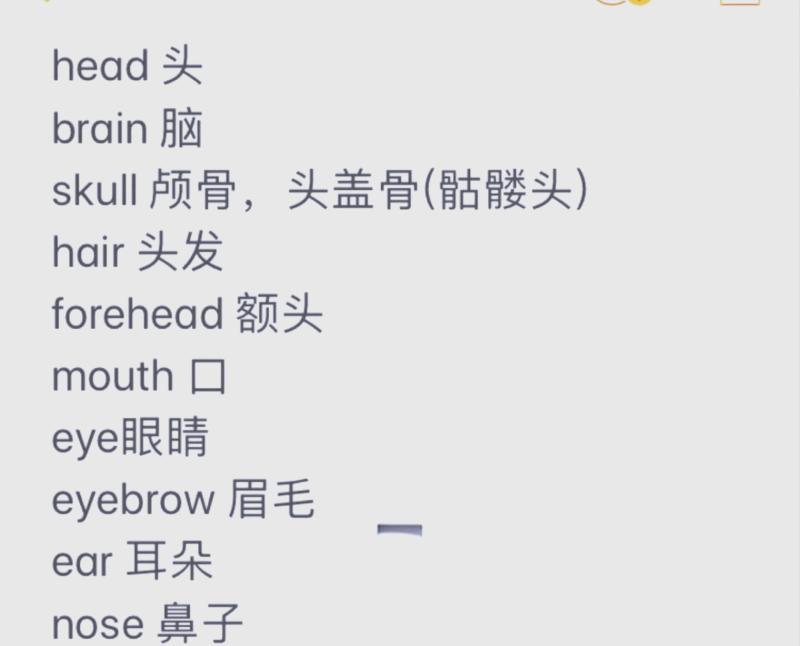 形容身体的英语单词有哪些的简单介绍