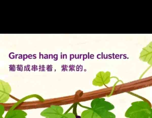 葡萄英文怎么读音发音英语翻译的简单介绍