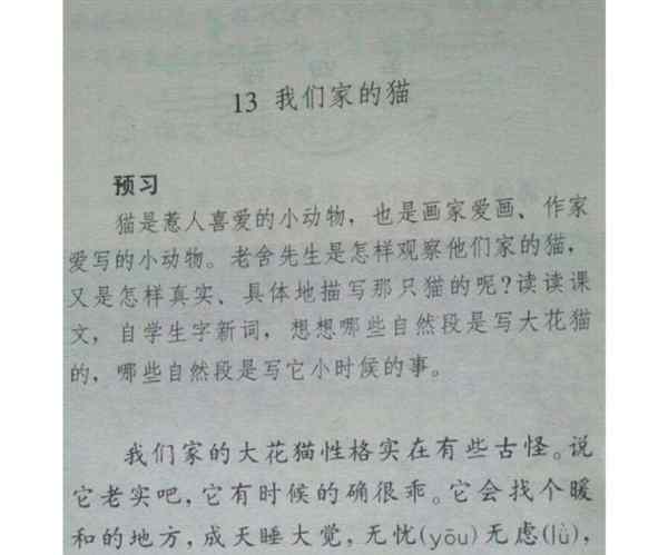 小学语文猫教学视频