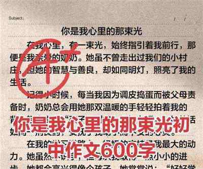 那束照亮我的光作文600字初中