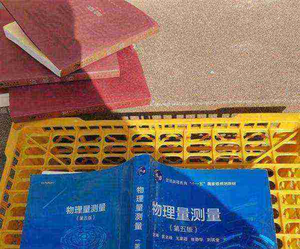 物理量纲