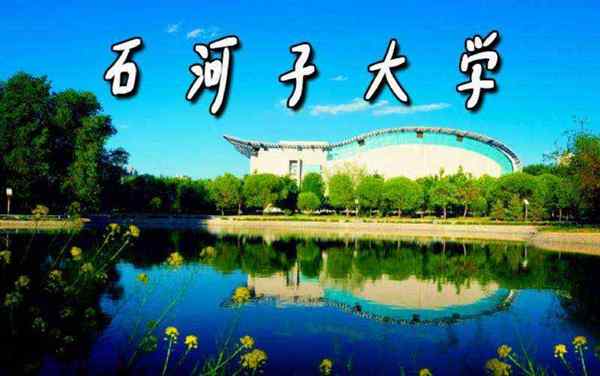 石河子大学在线教育综合平台网址