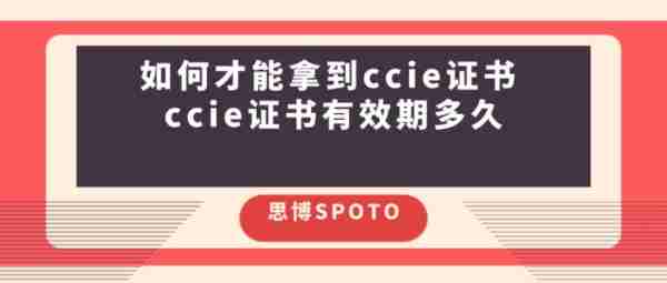 ccie现在的含金量
