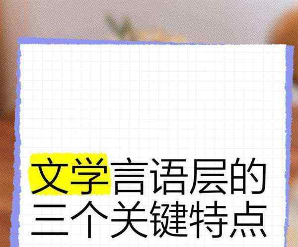 文学言语的特点有哪些方面