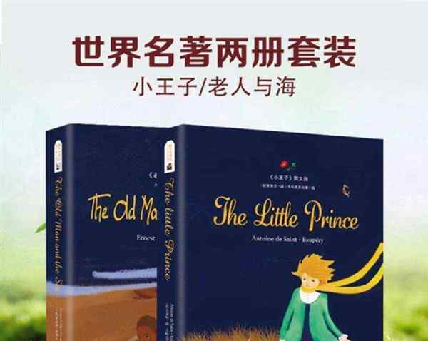 小王子英文版双语字幕