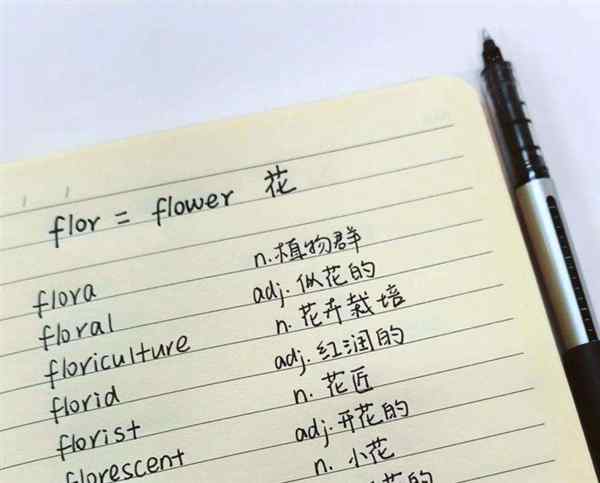 f开头的英文怎么写的单词
