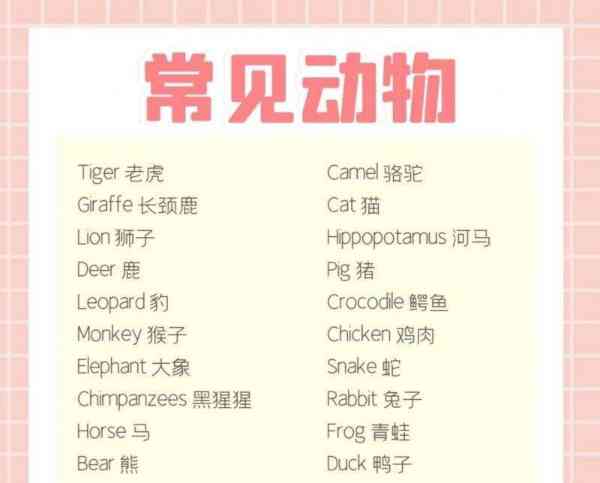 幼儿英语单词300个简单视频大全